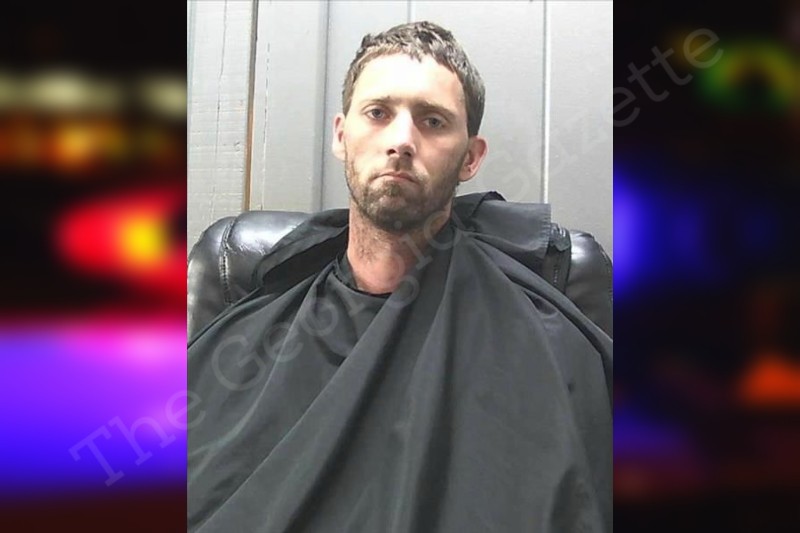 David Terrell Hart County Jail Bookings
