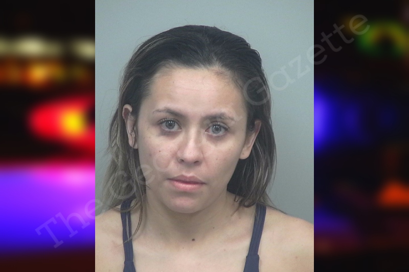 Michelle Vega County