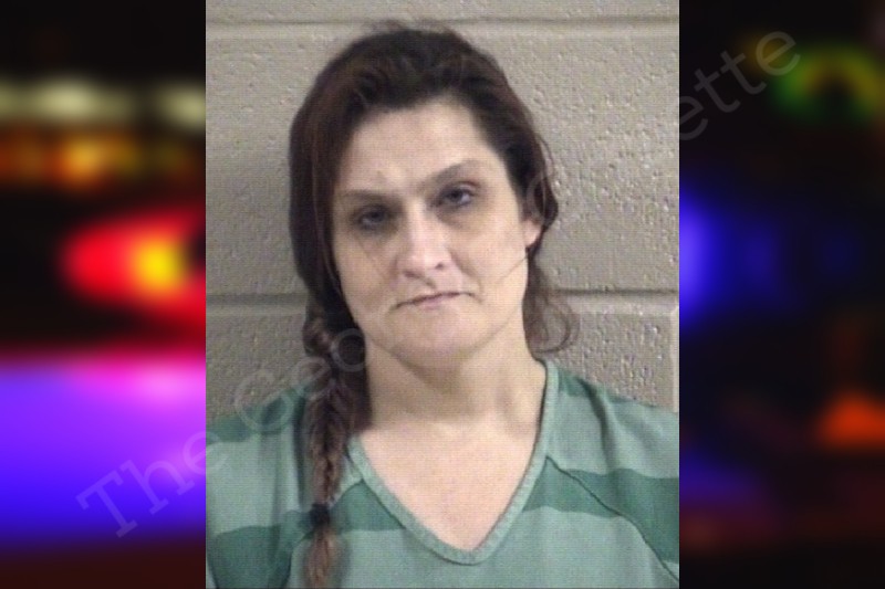 Brittany York Whitfield County Jail Bookings