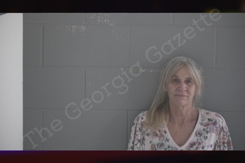 Katherine Auman Brantley County Jail Bookings