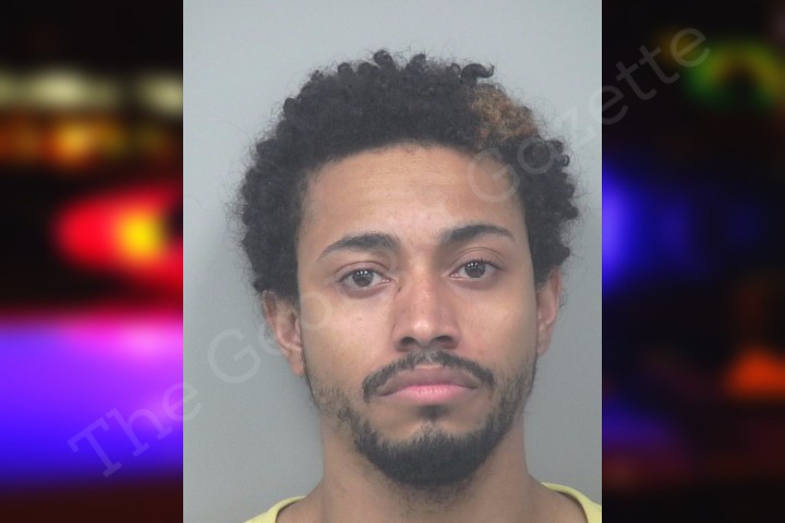 Jaime Bailey Gwinnett County jaime-bailey-gwinnett-county