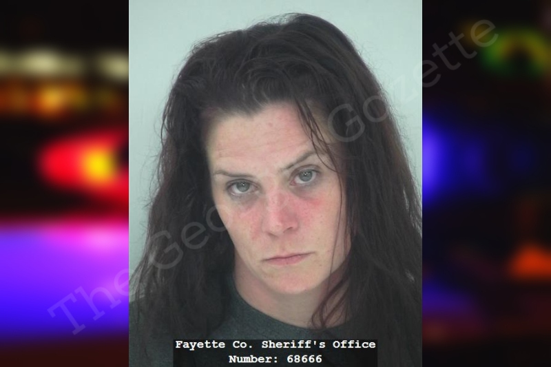 Bridget Camp | Fayette County Jail Bookings