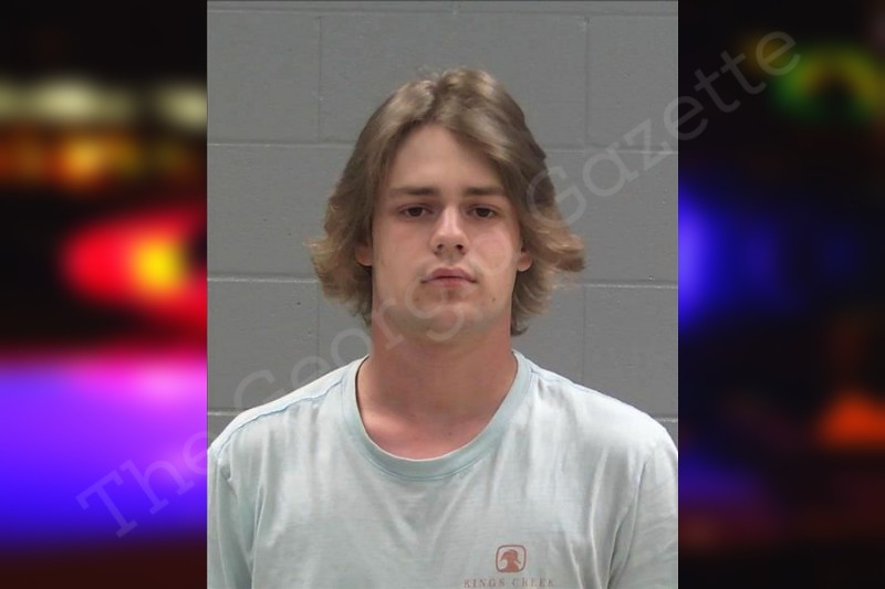 Brennen Deloach Baldwin County Jail Bookings