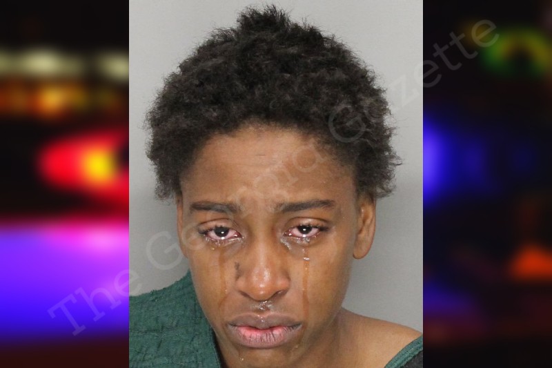 Dana Everson Cobb County