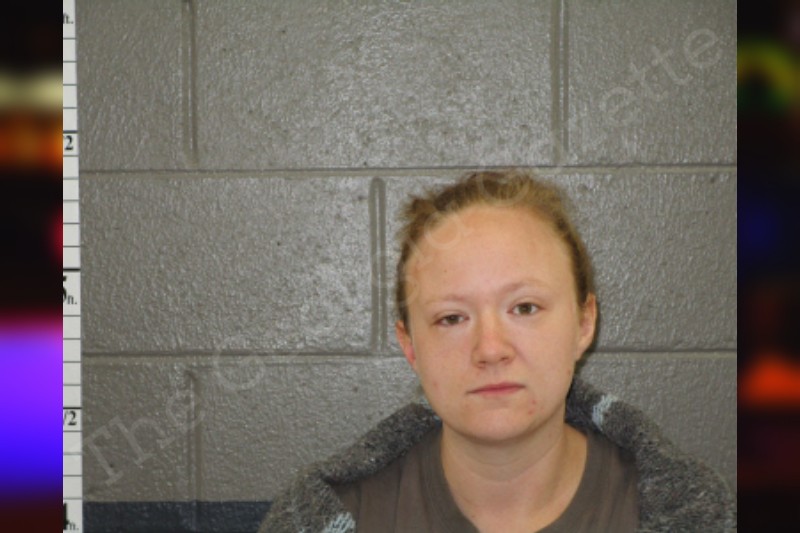 Eva Kiser Banks County Jail Bookings
