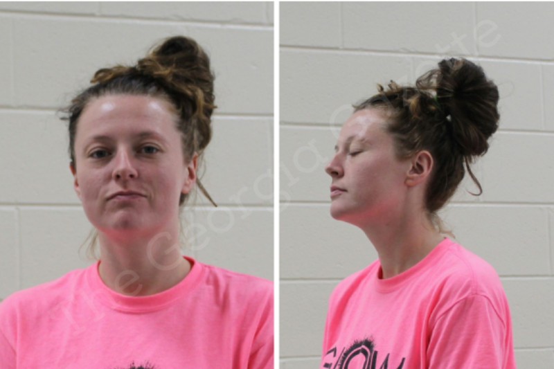 Brittany Guin Houston County Jail Bookings