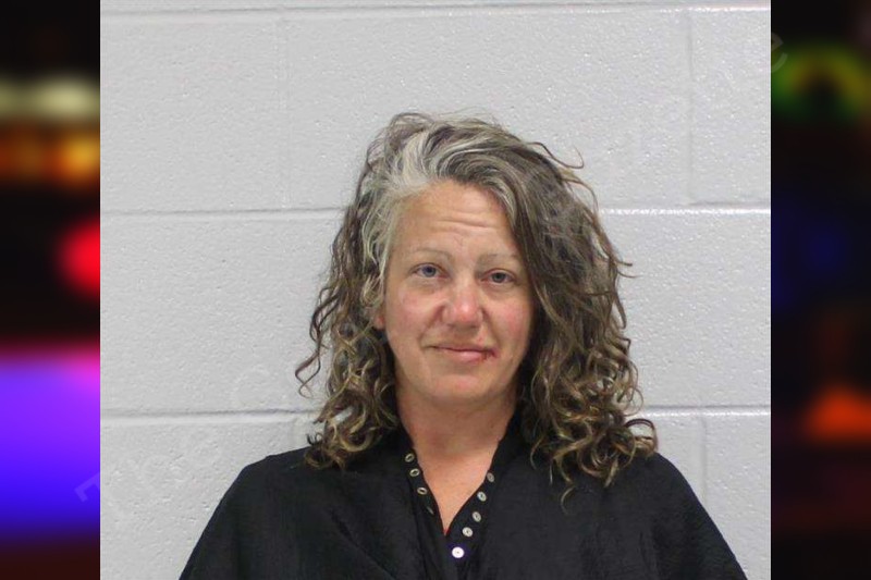 Jennifer Harkins — Carroll County Jail Bookings