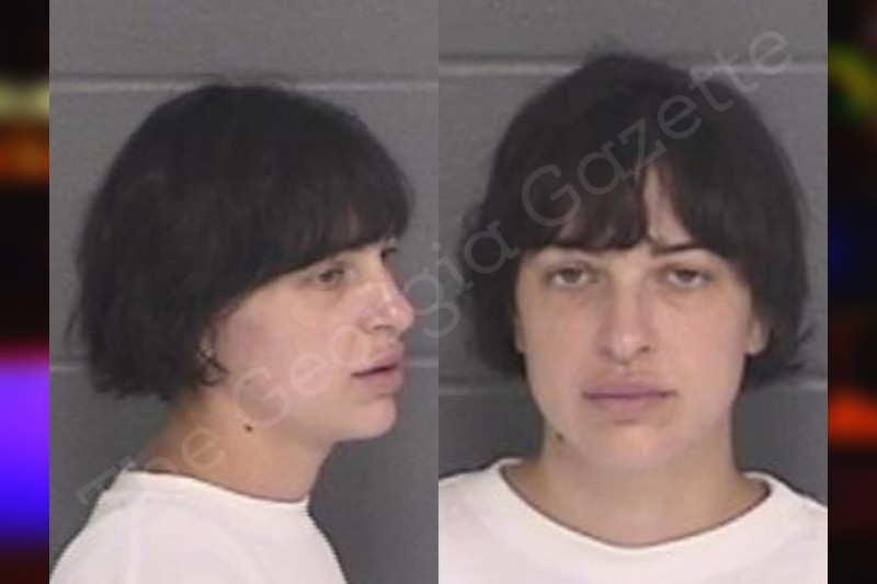 Natalie Haney Barrow County Jail Bookings