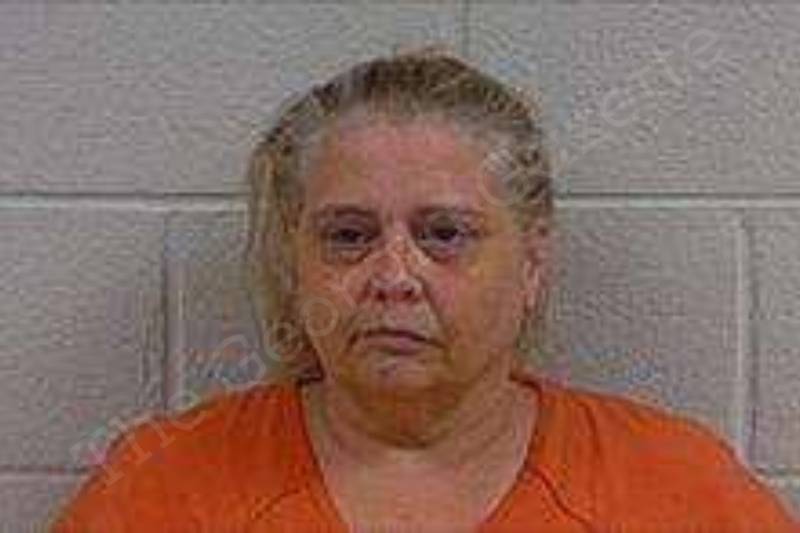 Christie Hutchins Polk County Jail Bookings