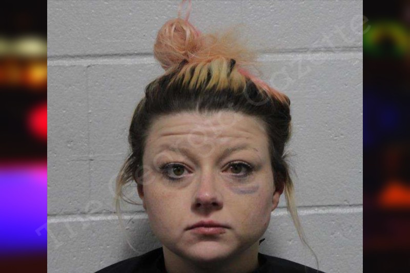 Alana Latimer Habersham County Jail Bookings