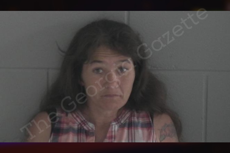 Irene Rawlins Brantley County Jail Bookings