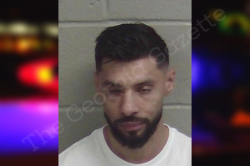 Gica Rostas — Wayne County Jail Bookings