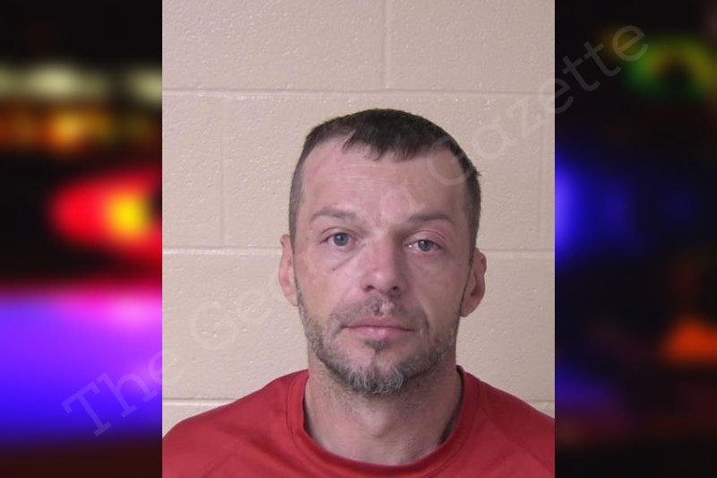 Cody Saylor Walker County Jail Bookings