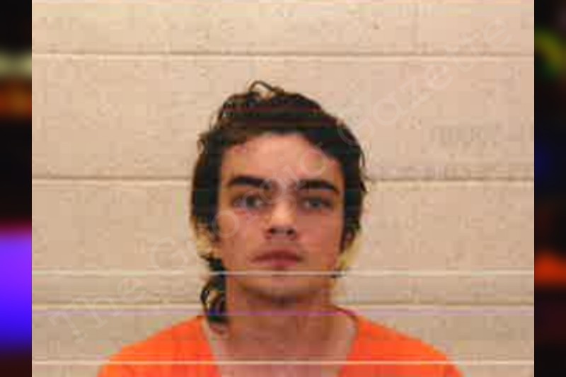 Schnars Elijah Curtis