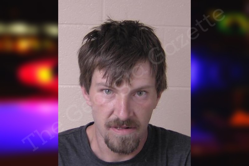 Jonathan Schrader Walker County