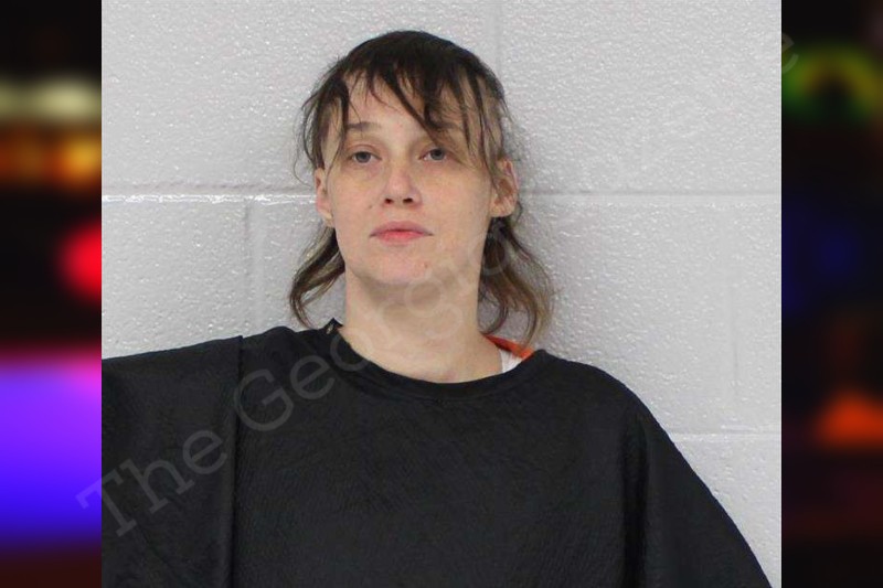 Tabitha Tilley — Carroll County Jail Bookings