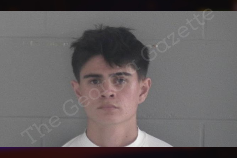 Brandon Weir Brantley County