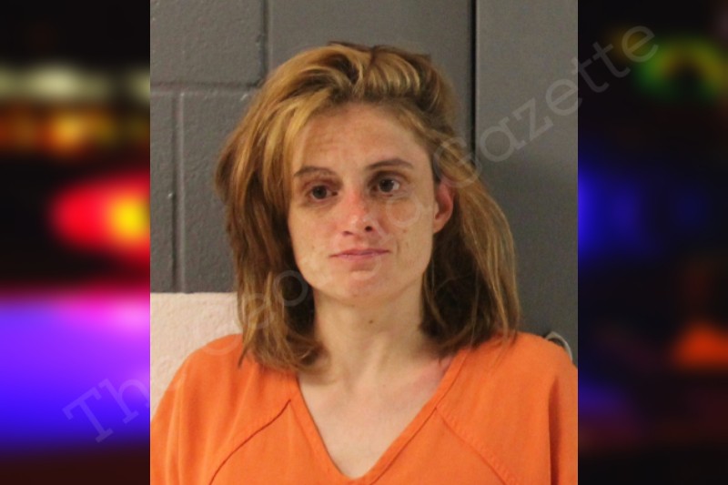 Cortney Adams Lumpkin County Jail Bookings