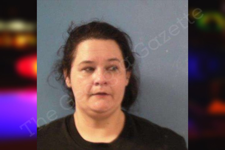 Debbie Cruce | Monroe County Jail Bookings