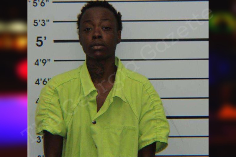 Destiny Cody Turner County