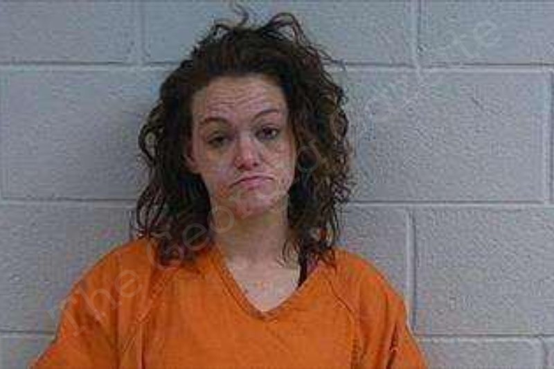 Kathleen Davidson Polk County