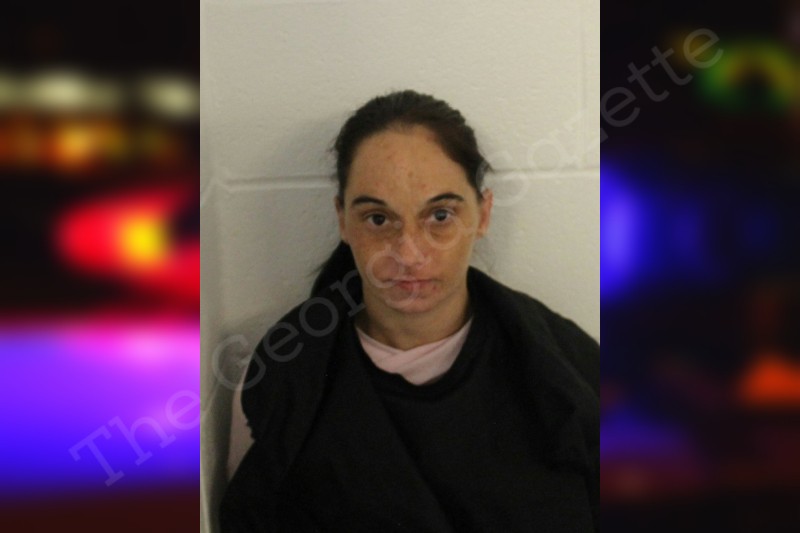 Starlit Dover Floyd County Jail Bookings