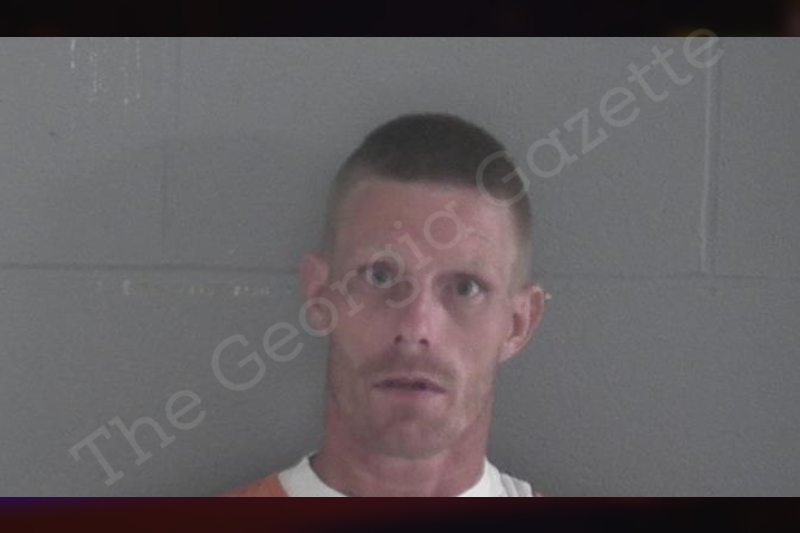 Joel Fulford | Brantley County Jail Bookings