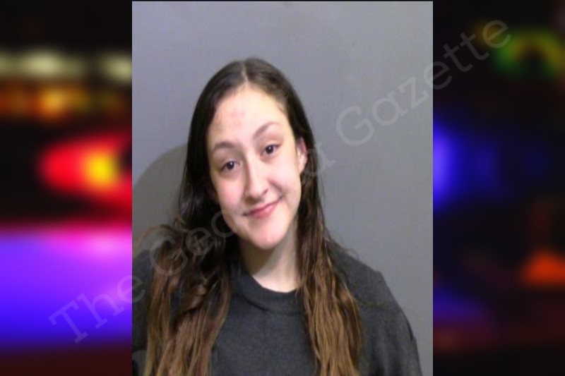 Alyssa Gonzalez Glynn County Jail Bookings