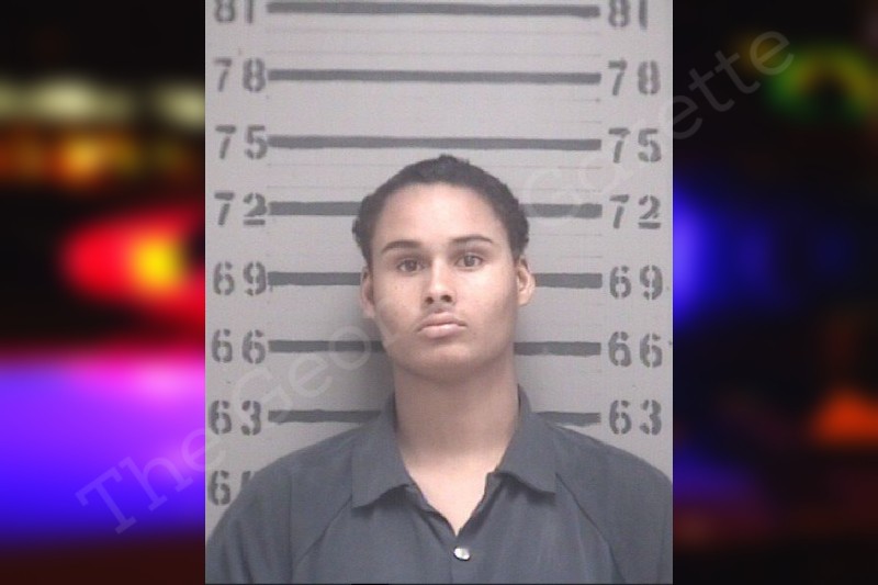 Stephen Harrison Dougherty County