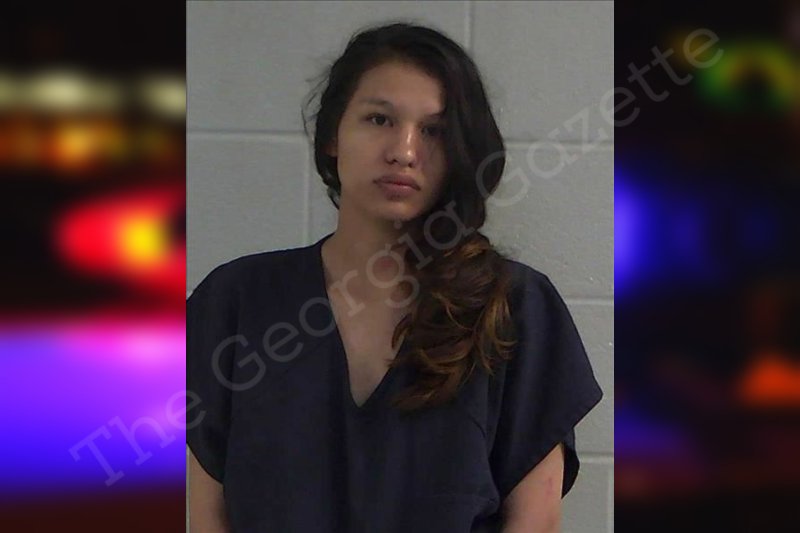 Reanne Kills In Water — Gilmer County Jail Bookings