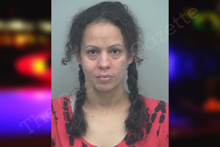 Lilliam Mendez-Mendez | Gwinnett County Jail Bookings