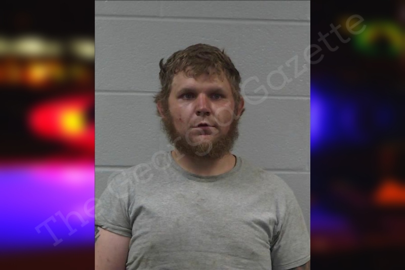 Brandon McClure Gilmer County