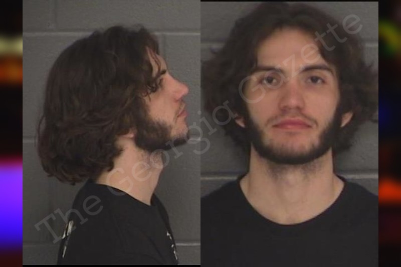 Ethan Posey Barrow County Jail Bookings