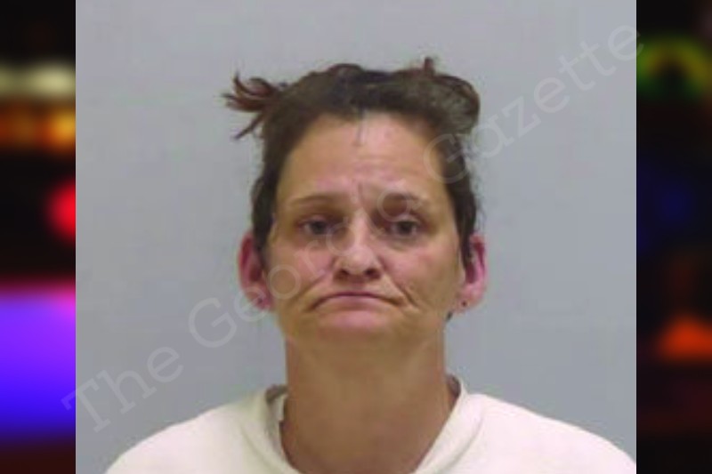 Jessica Potts Bartow County Jail Bookings