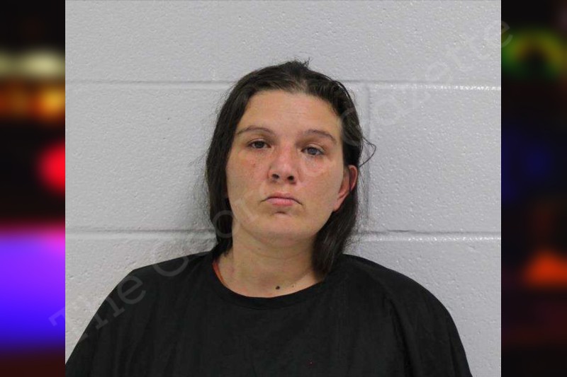 Melissa Rodriguez | Carroll County Jail Bookings