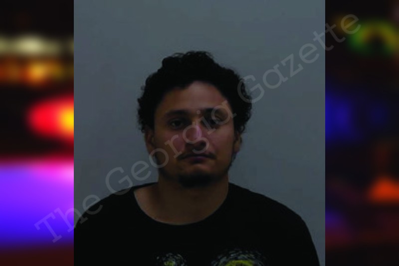 Jonny Tellez Ramirez Bartow County
