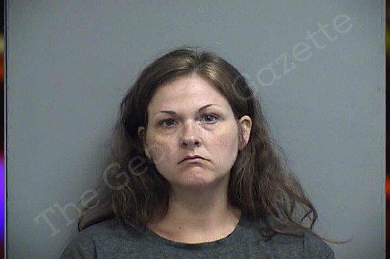 Kimberly Tompkins | Effingham County Jail Bookings