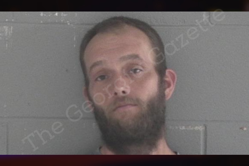 Bryan Young | Brantley County Jail Bookings