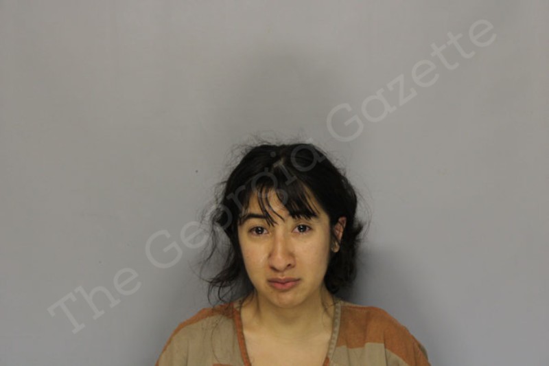 vanessa-aceves-hall-county-jail-bookings