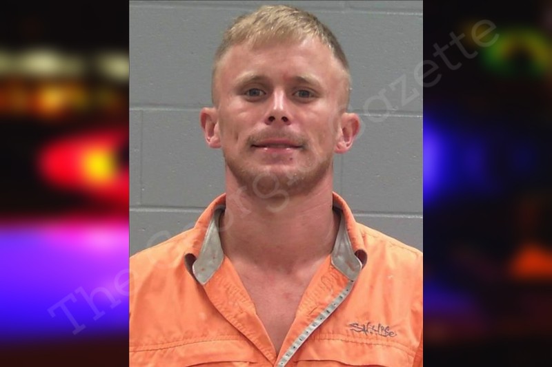 Brandon Allen Baldwin County Jail Bookings