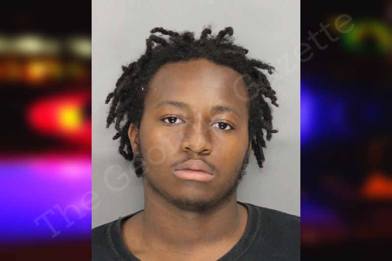 Joshua Bailey Cobb County