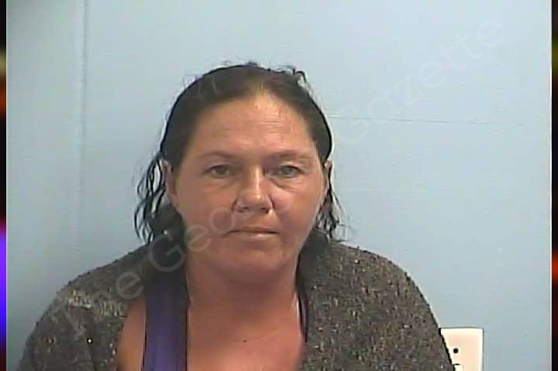 Nancy Cleveland Dawson County Jail Bookings