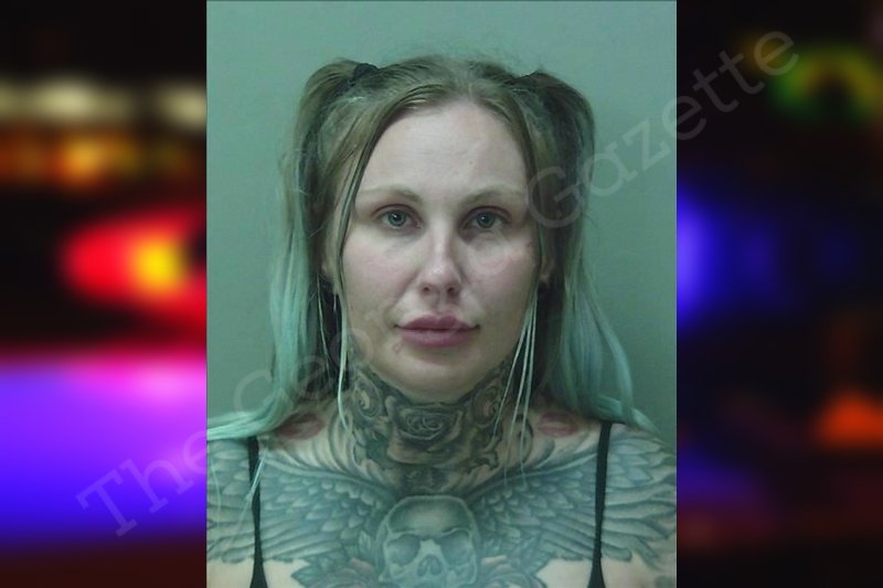 annie-bolda-towns-county-jail-bookings