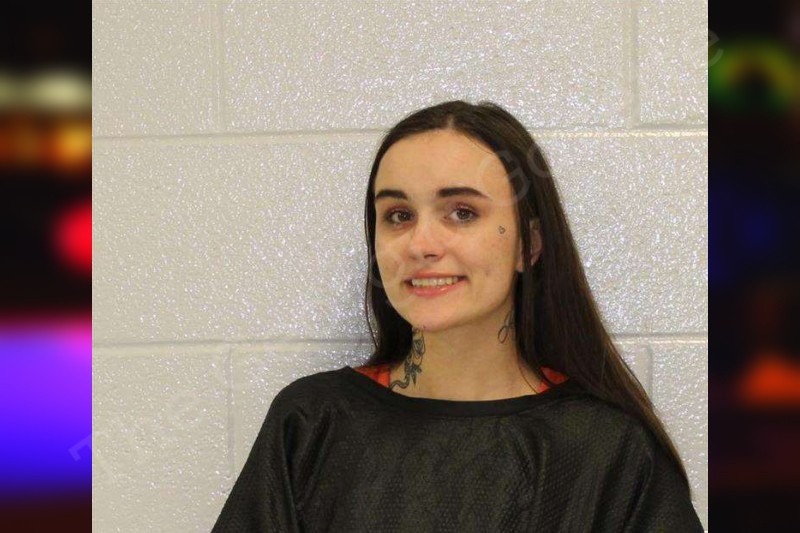 Rachel Cochran Carroll County Jail Bookings