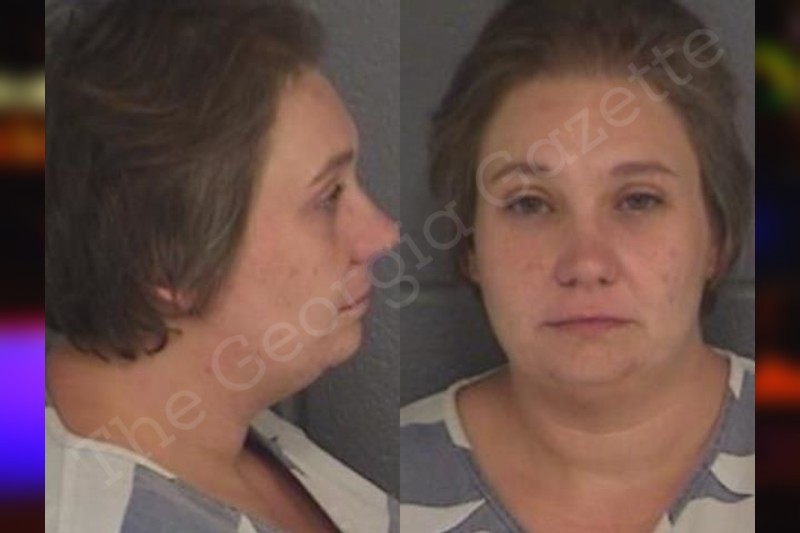 Brandy Greer Barrow County Jail Bookings