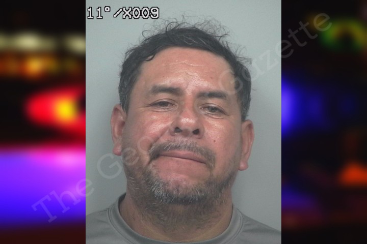Julian Hernandez Gonzalez — Gwinnett County Jail Bookings