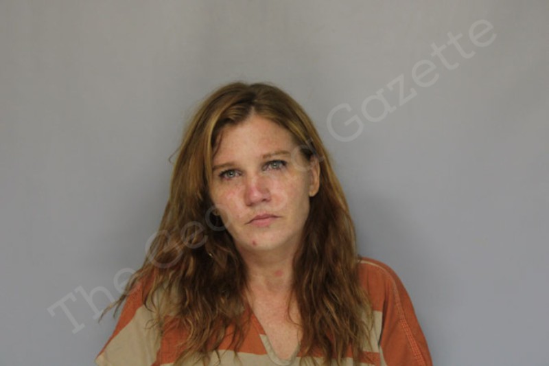 Ashley Hudson Hall County