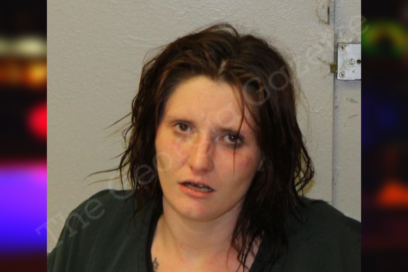 Brianna Myrick McIntosh County