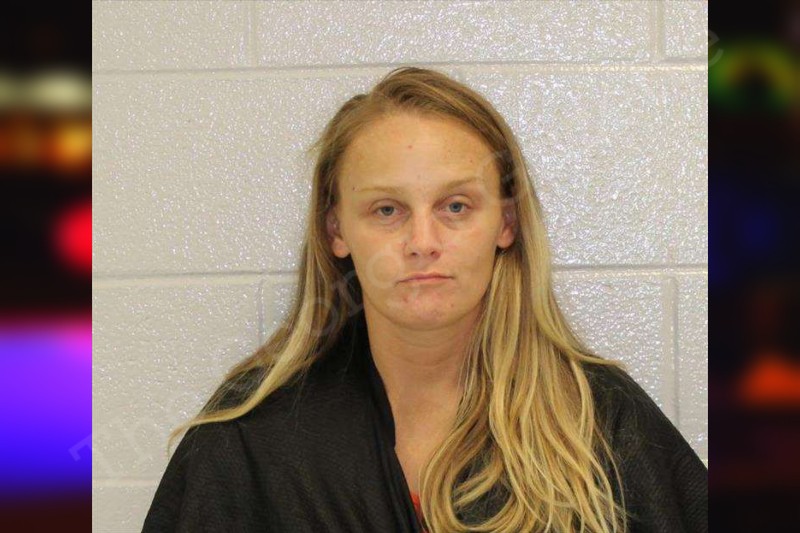 Brandi Johnson Carroll County