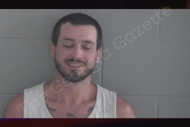 Justin Lamb | Brantley County Jail Bookings